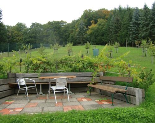 Maisons de vacances Ferienhaus Haus am Wald Thyrahöhe 9 Stolberg