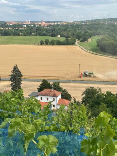 Maison de vacances Ferienhaus Helios 74 Weinberge Naumbourg