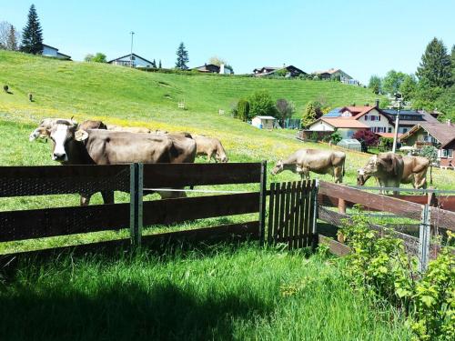 Maison de vacances Ferienhaus Herzlich Hochbergstr.16 Scheidegg