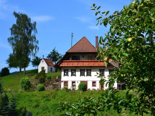 Appartements Ferienhaus Hubhof Auf der Hub 3 Oberharmersbach