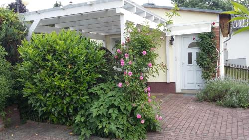 Ferienhaus II Heyder Elbingerode allemagne