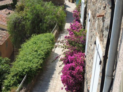 Ferienhaus in der Altstadt von Grimaud Grimaud france