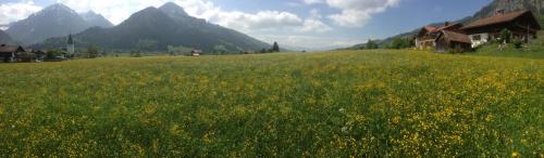 Ferienhaus in der Sonne Bad Hindelang allemagne