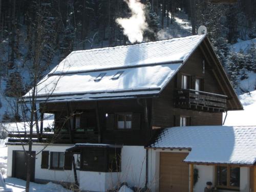 Appartements Ferienhaus Isele 20 Neuglashüttener Straße Feldberg