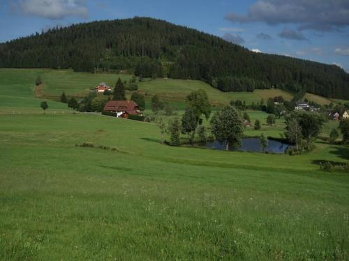 Ferienhaus Kaltenbach Titisee-Neustadt allemagne