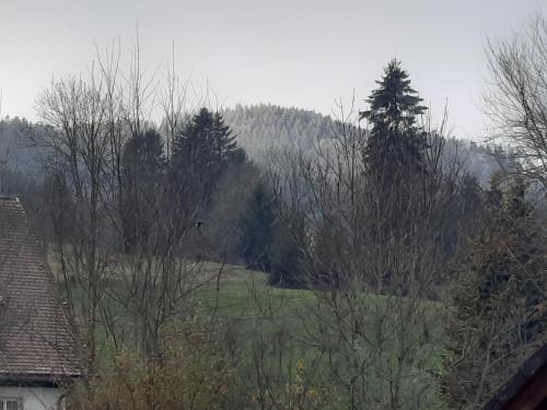 Ferienhaus Ketterer Hinterzarten Hinterzarten allemagne