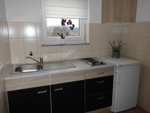 Ferienhaus Kiesel Bad Bocklet allemagne