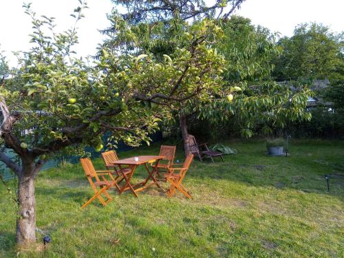 Maison de vacances Ferienhaus Kranichhorst - Exklusiv-Nutzung mit großem Garten und Strandnähe 19 Kirchsteig Bodstedt