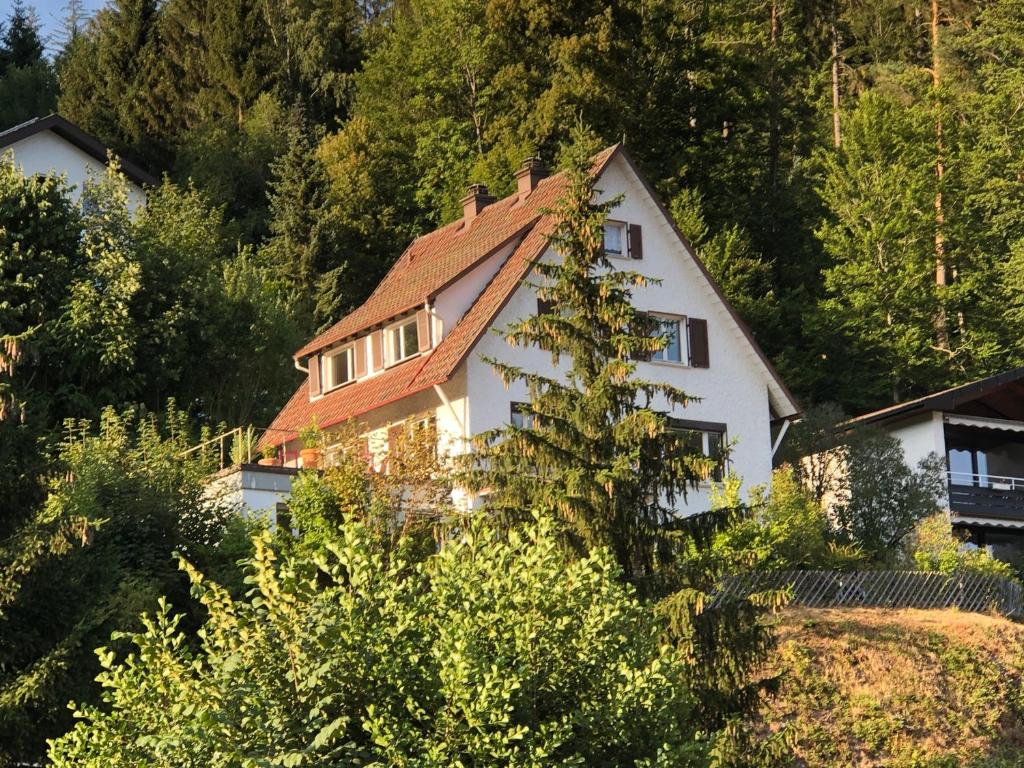 Maison de vacances Ferienhaus Kroneck 3 Kroneckweg, 78098 Triberg im Schwarzwald