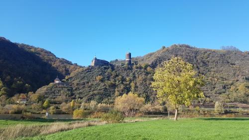 Ferienhaus Leopold mit Mosel- und Burgblick Burgen allemagne