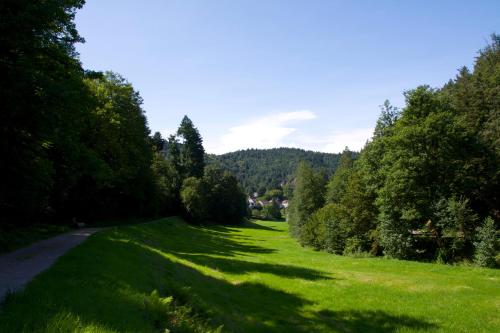 Appartement Ferienhaus Marina Höllhäuserweg 2 Baden-Baden