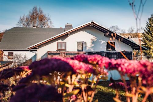Ferienhaus Markersbach ERZ 1061 Oberscheibe allemagne