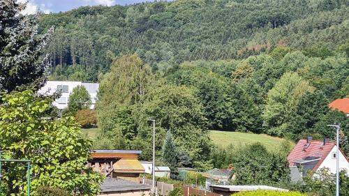 Ferienhaus Marx Sebnitz allemagne