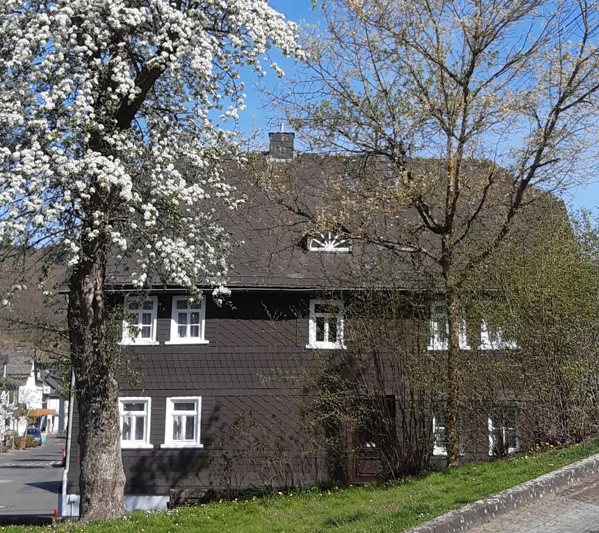 Appartement Ferienhaus Mittelstraße 20 Mittelstraße, 57567 Daaden