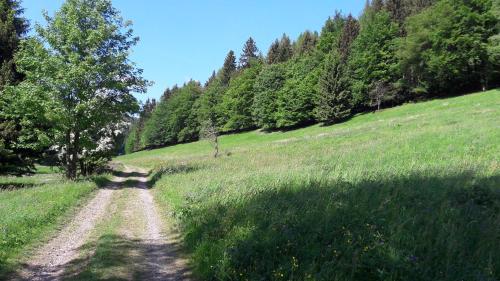 Ferienhaus Moosbachtal Thüringer Wald bei Oberhof Rotterode allemagne