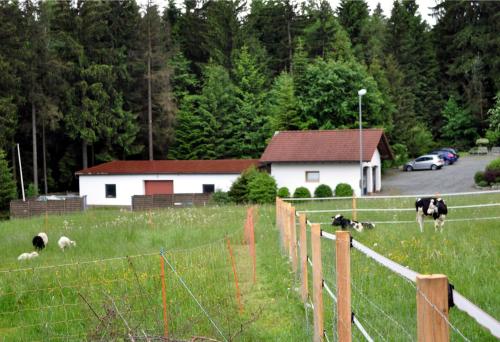 Ferienhaus Müller Warmensteinach allemagne