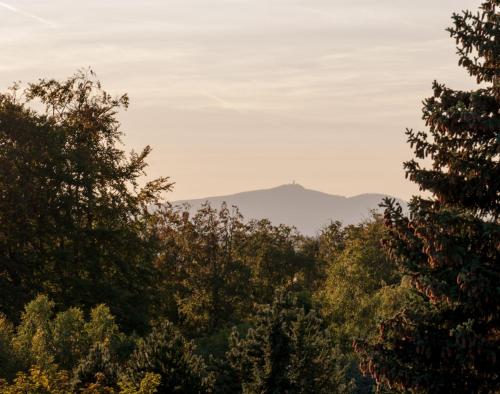 Ferienhaus Natur Pur Thale allemagne