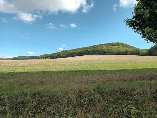 Maison de vacances Ferienhaus Naturparadies Rhön 1 Kleine Seite Willmars