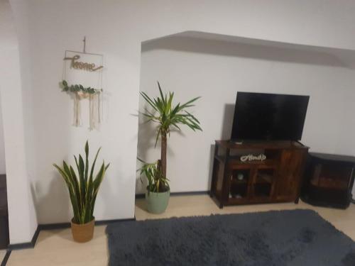 Maison de vacances Ferienhaus Pfälzerwald Elisabethenstraße 48 Rodalben