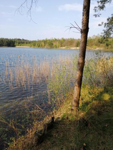 Ferienhaus \ Haren allemagne