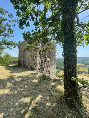 Maison de vacances Ferienhaus Portugieser auf dem Weinberg Weinberge 75 Naumbourg