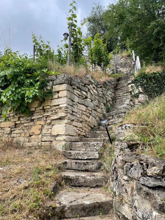 Maison de vacances Ferienhaus Portugieser auf dem Weinberg Weinberge 75, 06618 Naumbourg