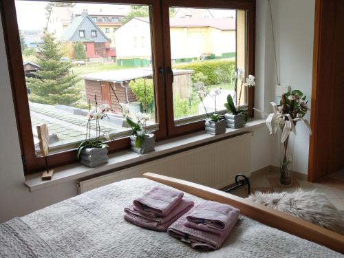 Maisons de vacances Ferienhaus Prinzler Waldstraße 11 Friedrichsbrunn