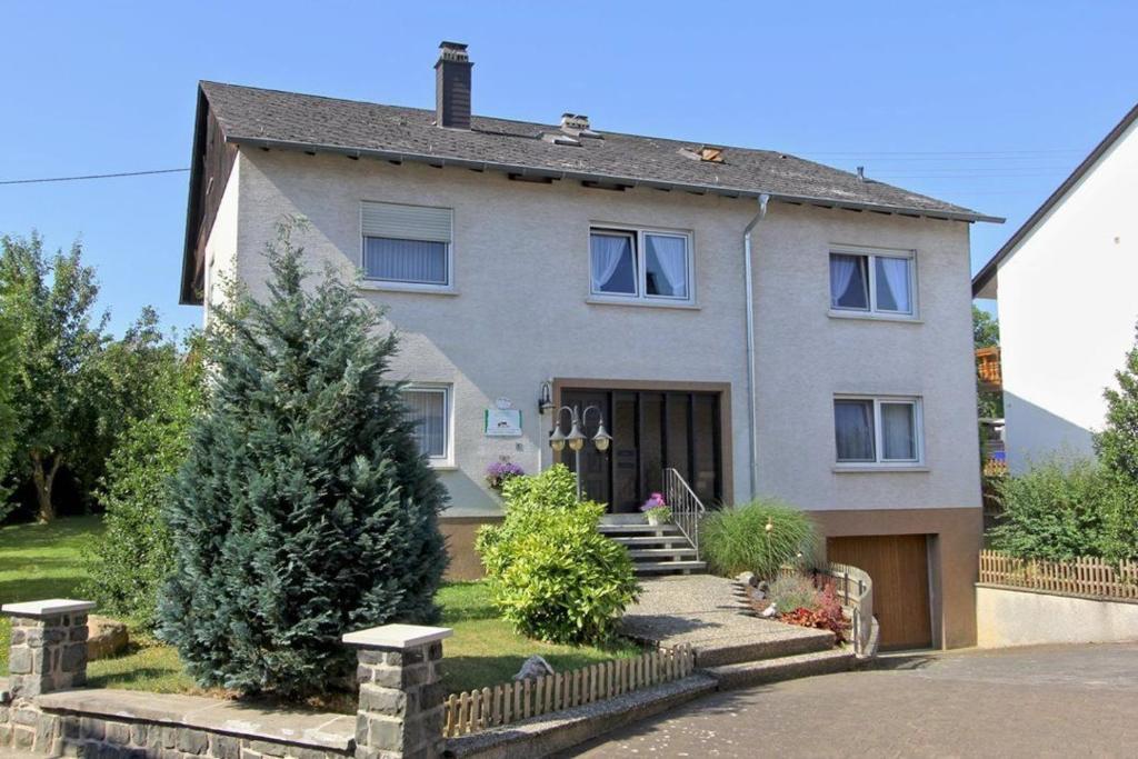 Appartements Ferienhaus Raue Kirchstraße 8, 55758 Sulzbach