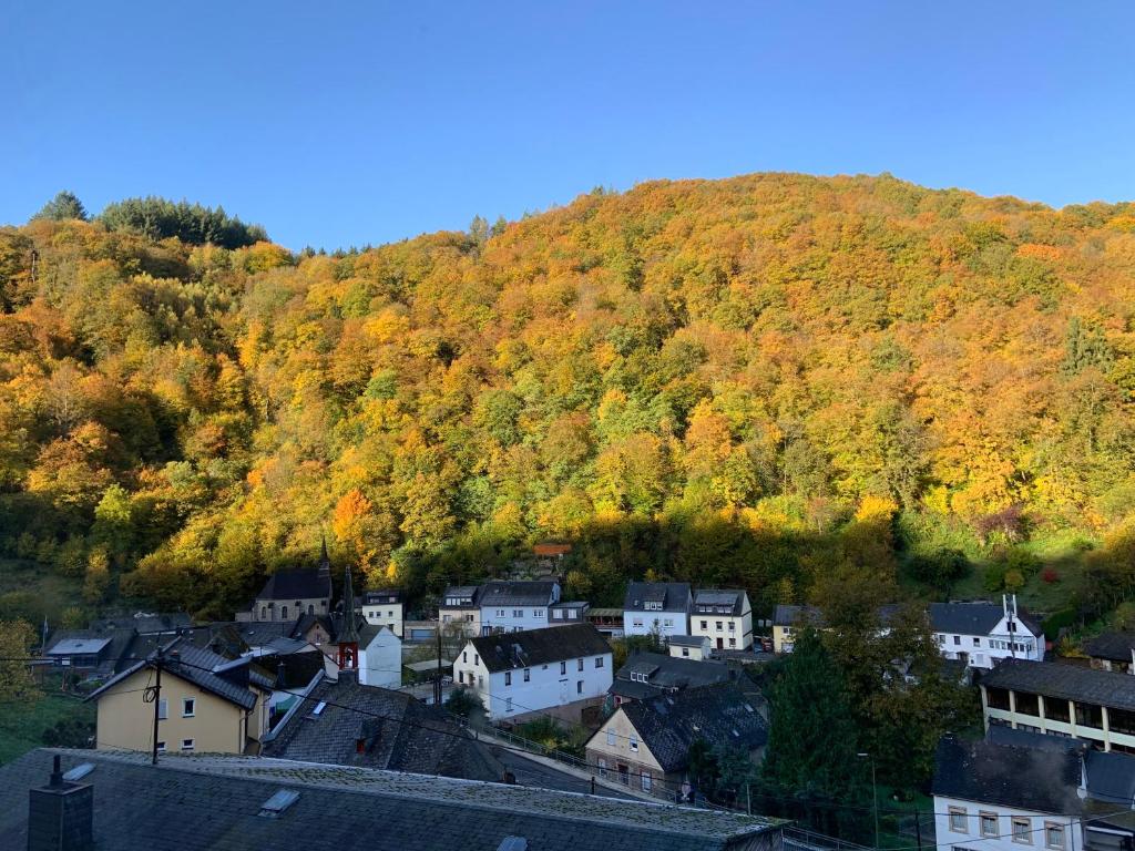 Maison de vacances Ferienhaus Rustikal Im Schulland 6, 56841 Traben-Trarbach