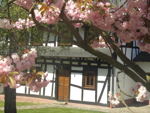 Ferienhaus Schmitt Beltheim allemagne