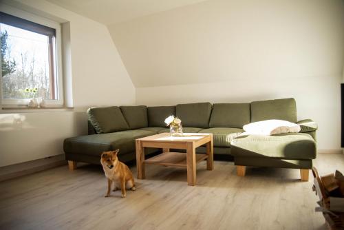 Maison de vacances Ferienhaus Sehmatal 11 Am Bahnhof Sehmatal