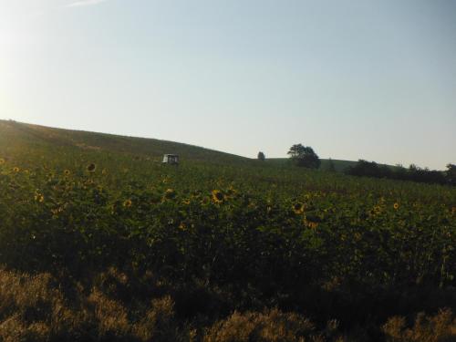 Maison de vacances Ferienhaus Sonneneck 14 Schulweg Ortteil Saupsdorf Sebnitz