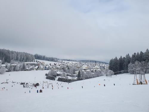 Maison de vacances Ferienhaus Sonnengelb im Herzen des Schwarzwaldes 12 Fichtelgebirgestraße Schönwald