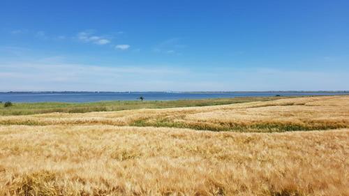 Ferienhaus Sonnenlicht - Familien und Kiter \ Fehmarn allemagne