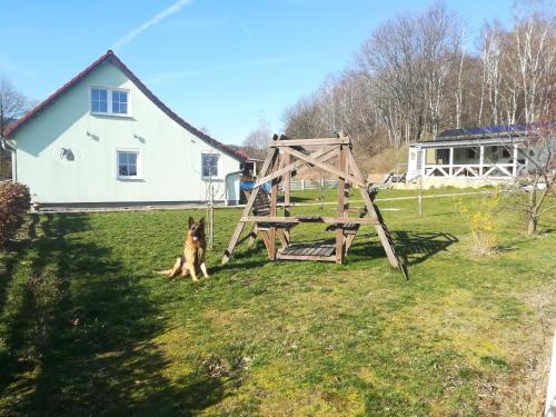 Ferienhaus Sonnenschein Goslar allemagne