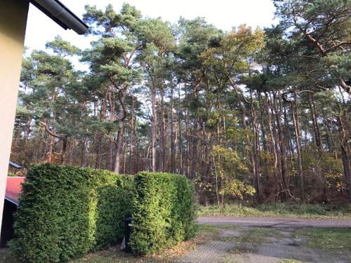 Maison de vacances Ferienhaus Sonnenschein in Breege  Juliusruh