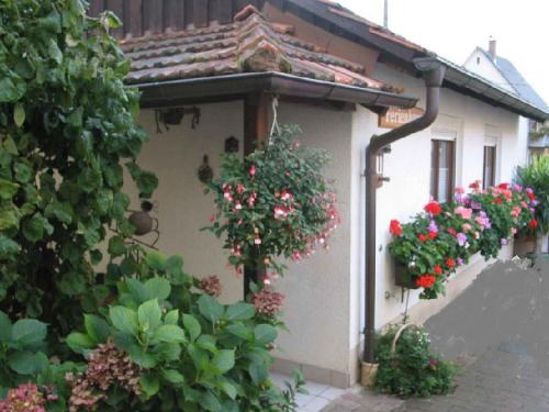 Ferienhaus Steinger am Blumengässle Müllheim allemagne