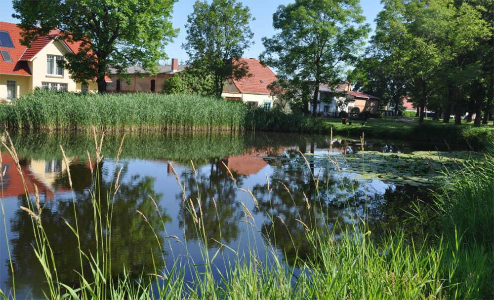 Maison de vacances Ferienhaus Stolpe USE 2481 Grafenweg 2, 17406 Stolpe auf Usedom