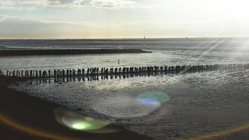 Ferienhaus Strandhus Juwel Wangerland allemagne