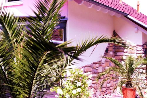 Appartement Ferienhaus Taubergie_en Hauptstrasse 50 Wittenweier