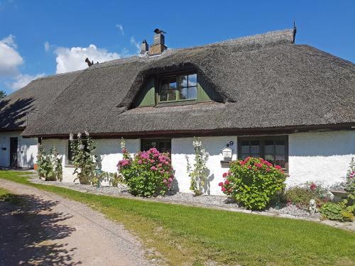Appartements Ferienhaus und _wohnung unterm Ree OT Woorke Nr. 9 Hof Patzig