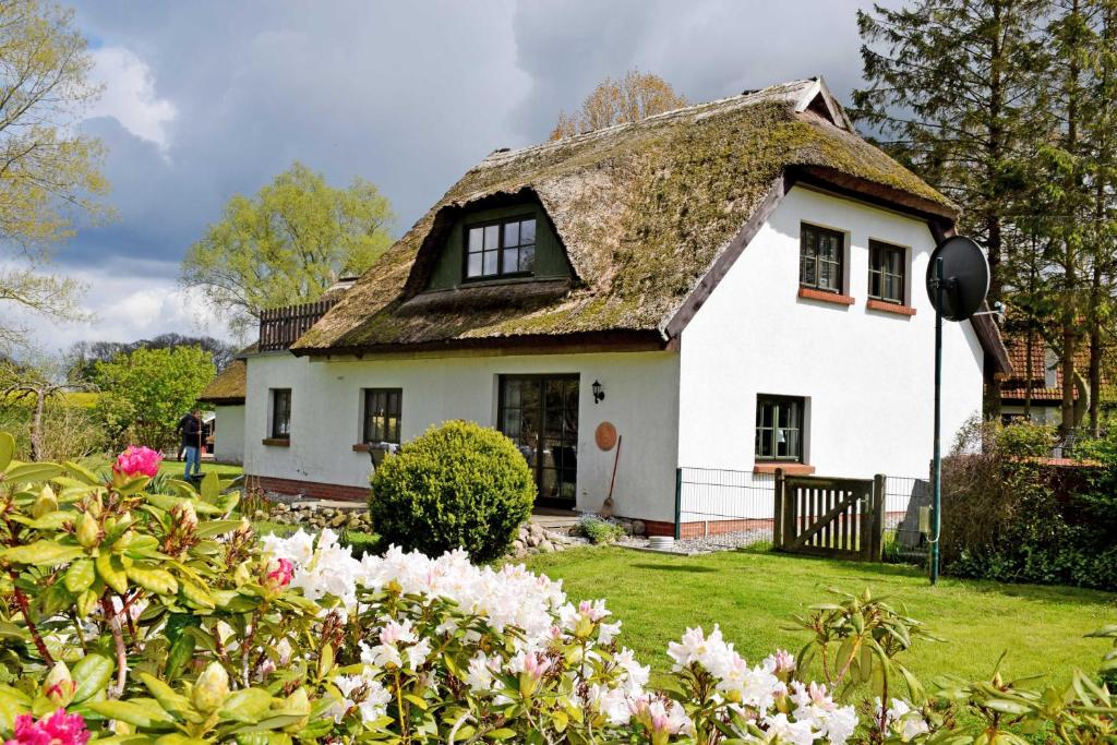 Appartements Ferienhaus und _wohnung unterm Ree OT Woorke Nr. 9, 18528 Hof Patzig