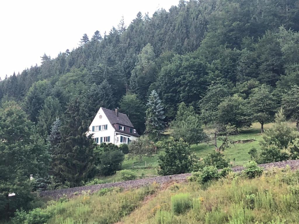 Maison de vacances Ferienhaus Waldglück 24 Liebenzeller Weg, 75365 Calw