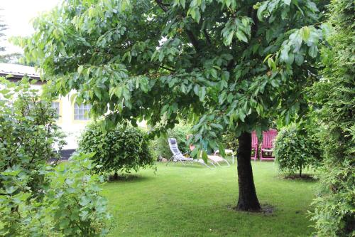 Maison de vacances Ferienhaus Waren SEE 7142 Falkenhäger Weg 37 Waren