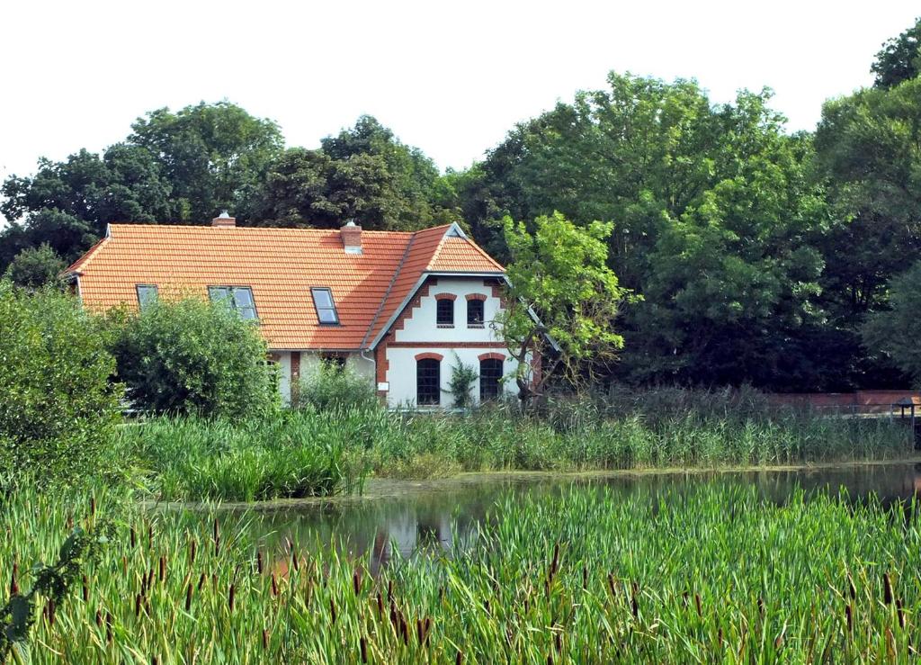 Maison de vacances Ferienhaus Wassermühle Klein Köthel SCHW 1091 Klein Köthel 12, 17166 Hohen Demzin