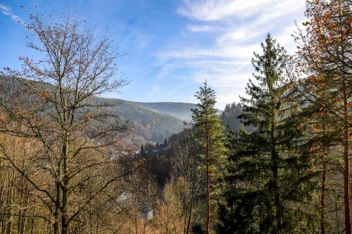 Maison de vacances Ferienhaus Weise Roter Stein 5 Unterweißbach