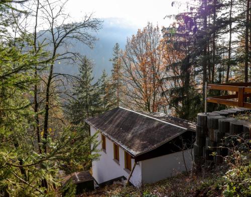 Ferienhaus Weise Unterweißbach allemagne