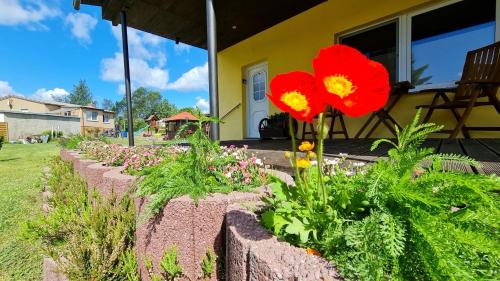 Ferienhaus Wiese und Meer Zinnowitz allemagne