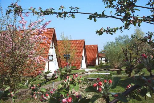 Ferienhaus Wigwam im Feriendorf Al Bachenbrock allemagne