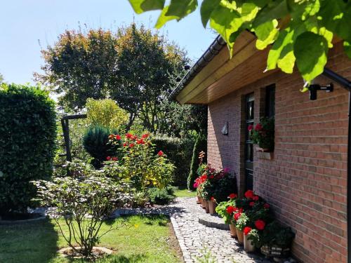 Maison de vacances Ferienhaus Wolgast USE 3551 Tannenkampweg 35 Wolgast